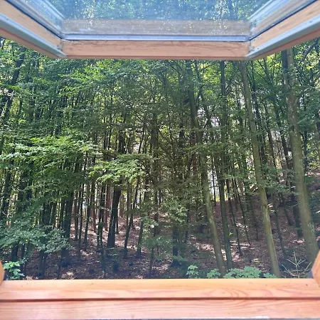 Dum Pod Konvalinkou, Lily Of The Valley, Forest House Holiday home